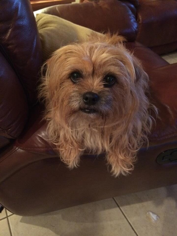 Oh, Hello!