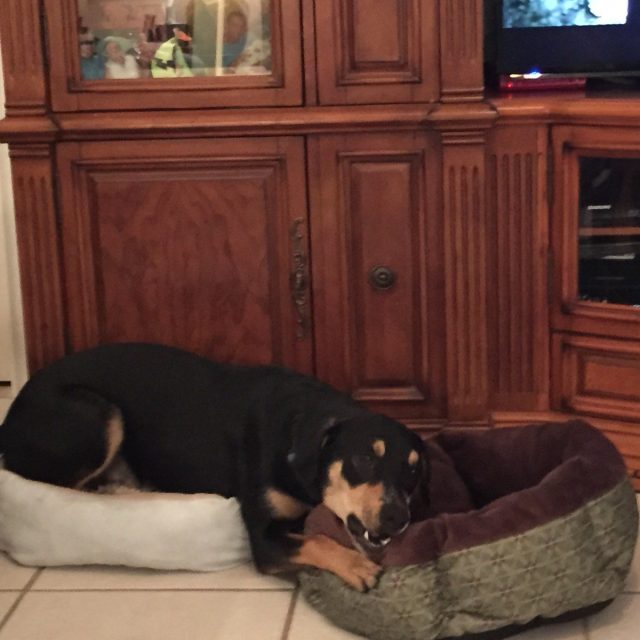 I Almost Fit