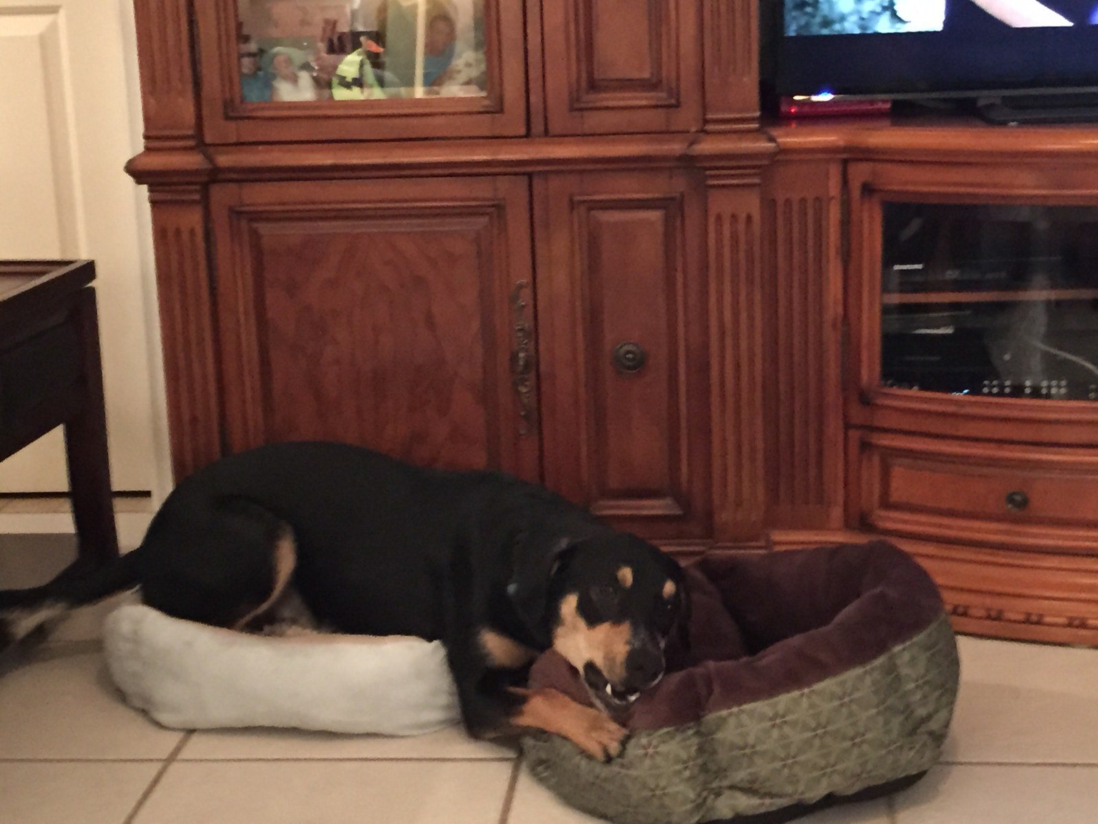 I Almost Fit