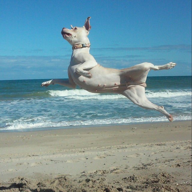 Ruka Trying Out For The Nutcracker