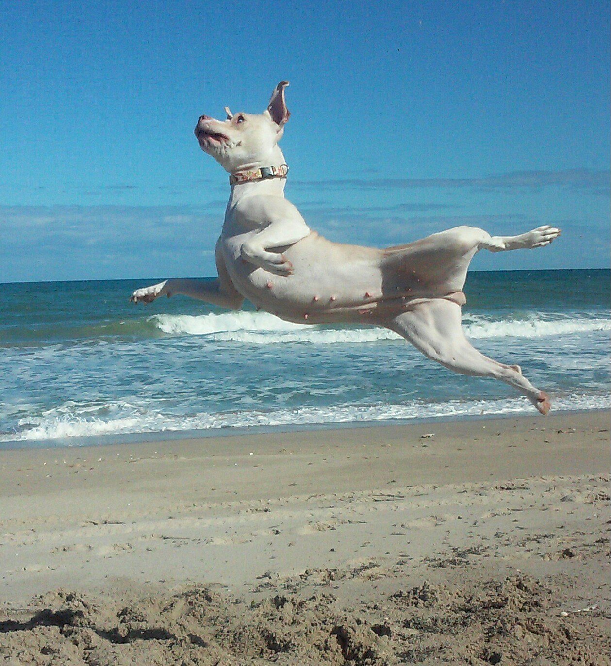 Ruka Trying Out For The Nutcracker