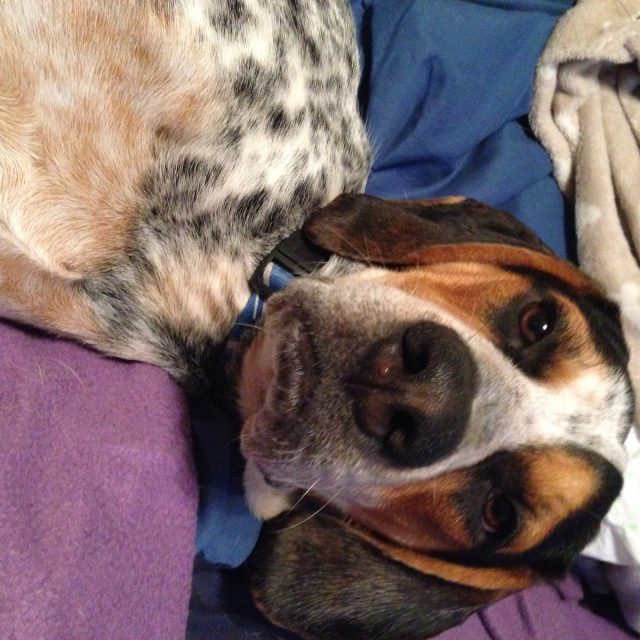 Turn The Lights Out, I'm Trying To Nap!