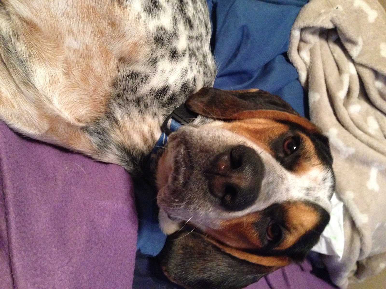 Turn The Lights Out, I'm Trying To Nap!