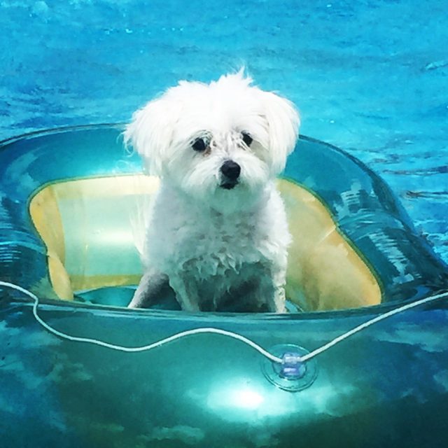 You Float My Boat...