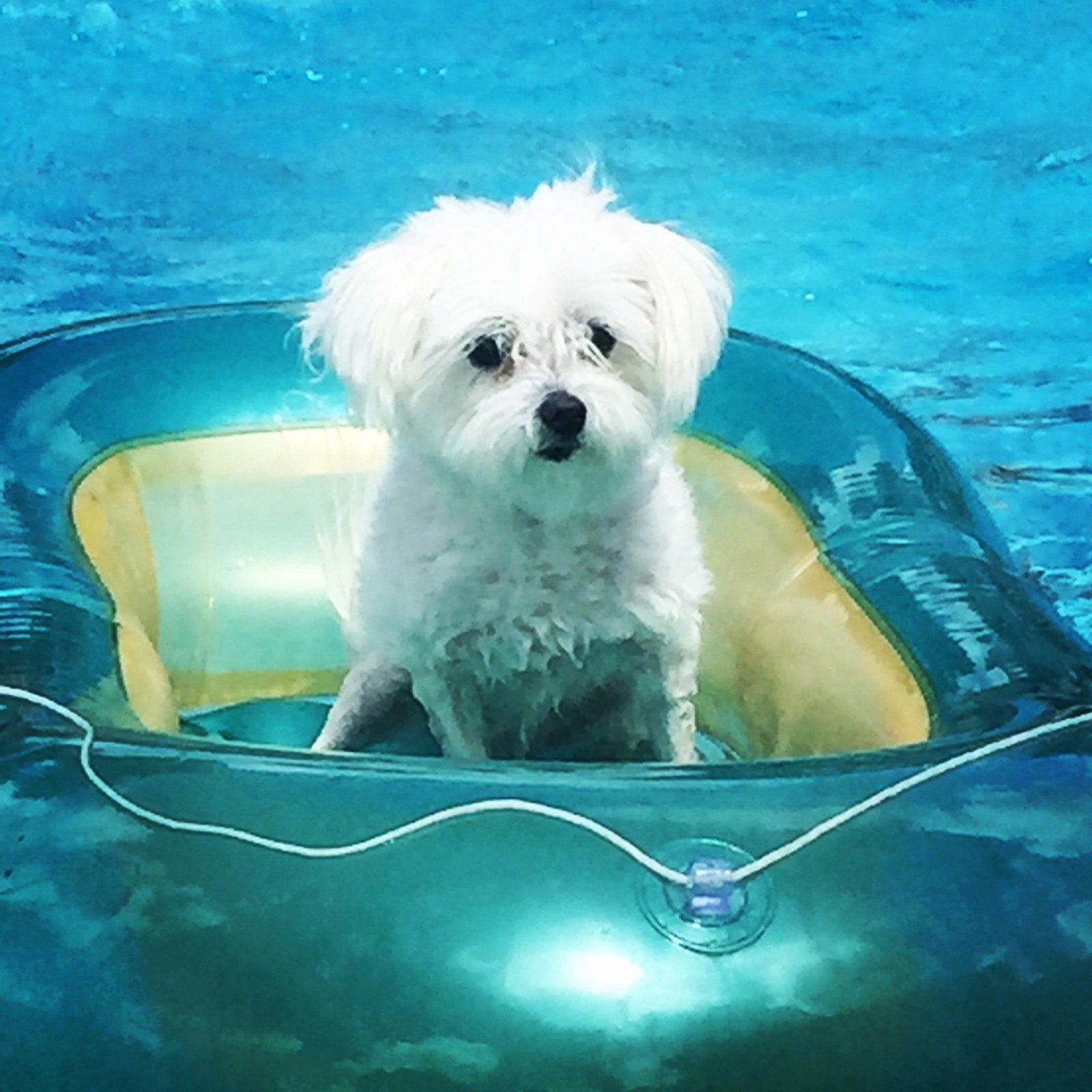 You Float My Boat...