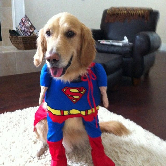 Superman