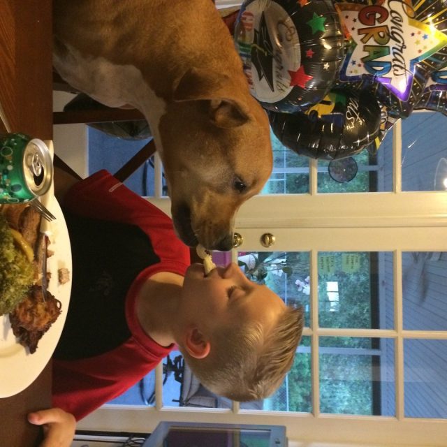Love To Share Our Food