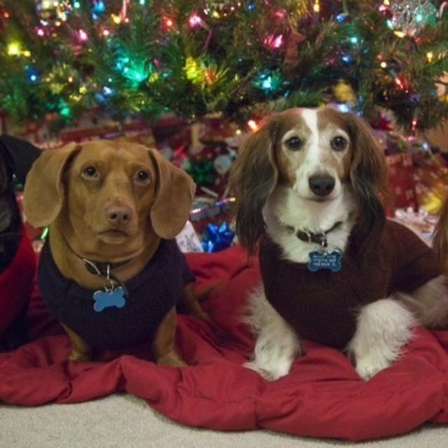 Waiting For Santa