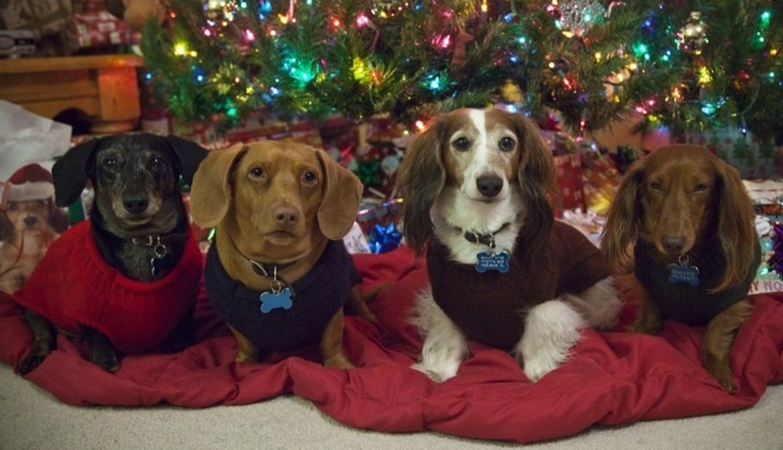 Waiting For Santa