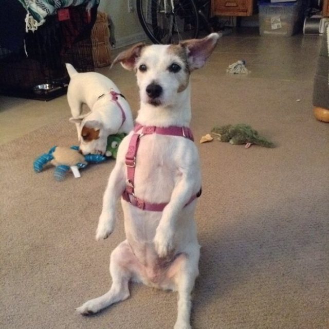 Can I Help You?