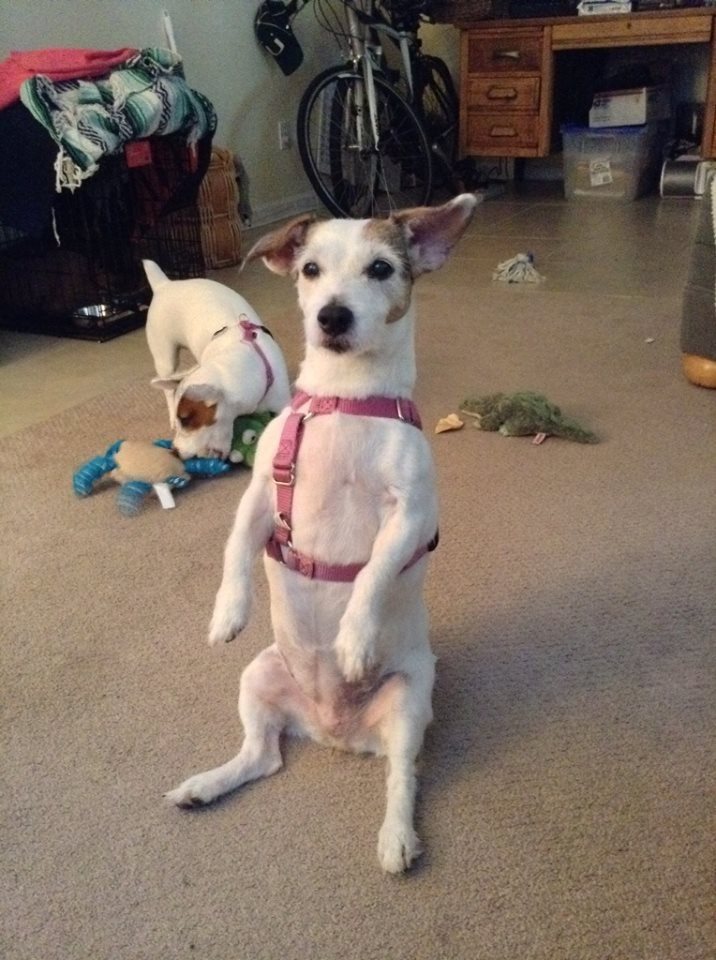 Can I Help You?