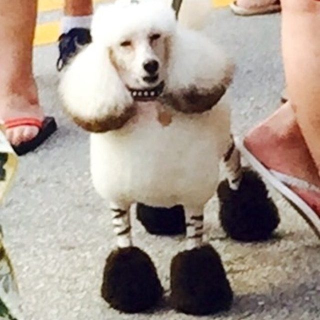 Look At Me, Look At Me!