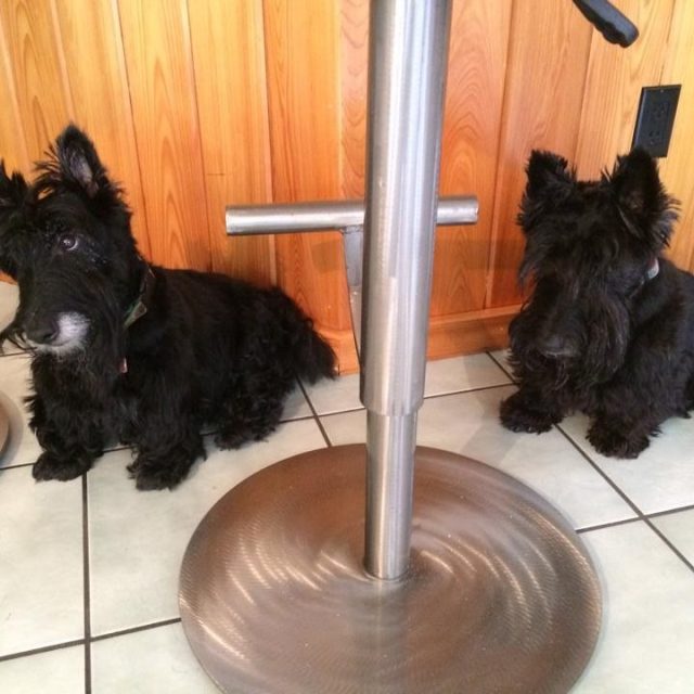 When Are Mom And Dad Coming Home?