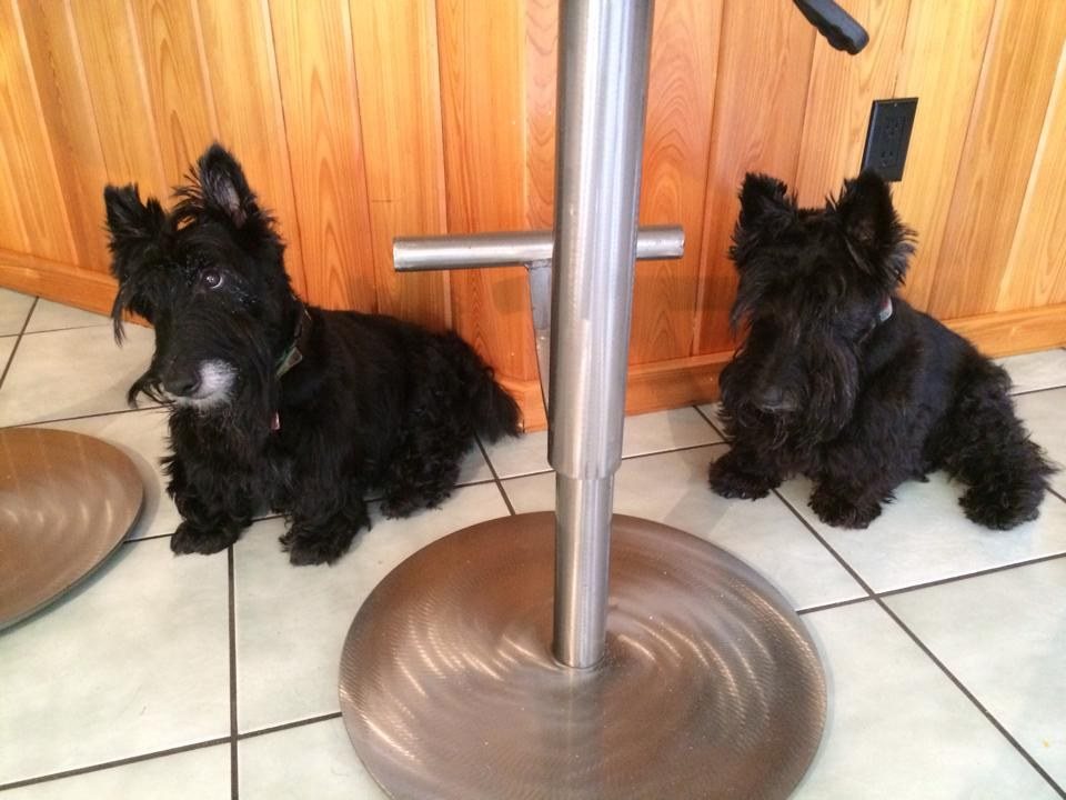 When Are Mom And Dad Coming Home?