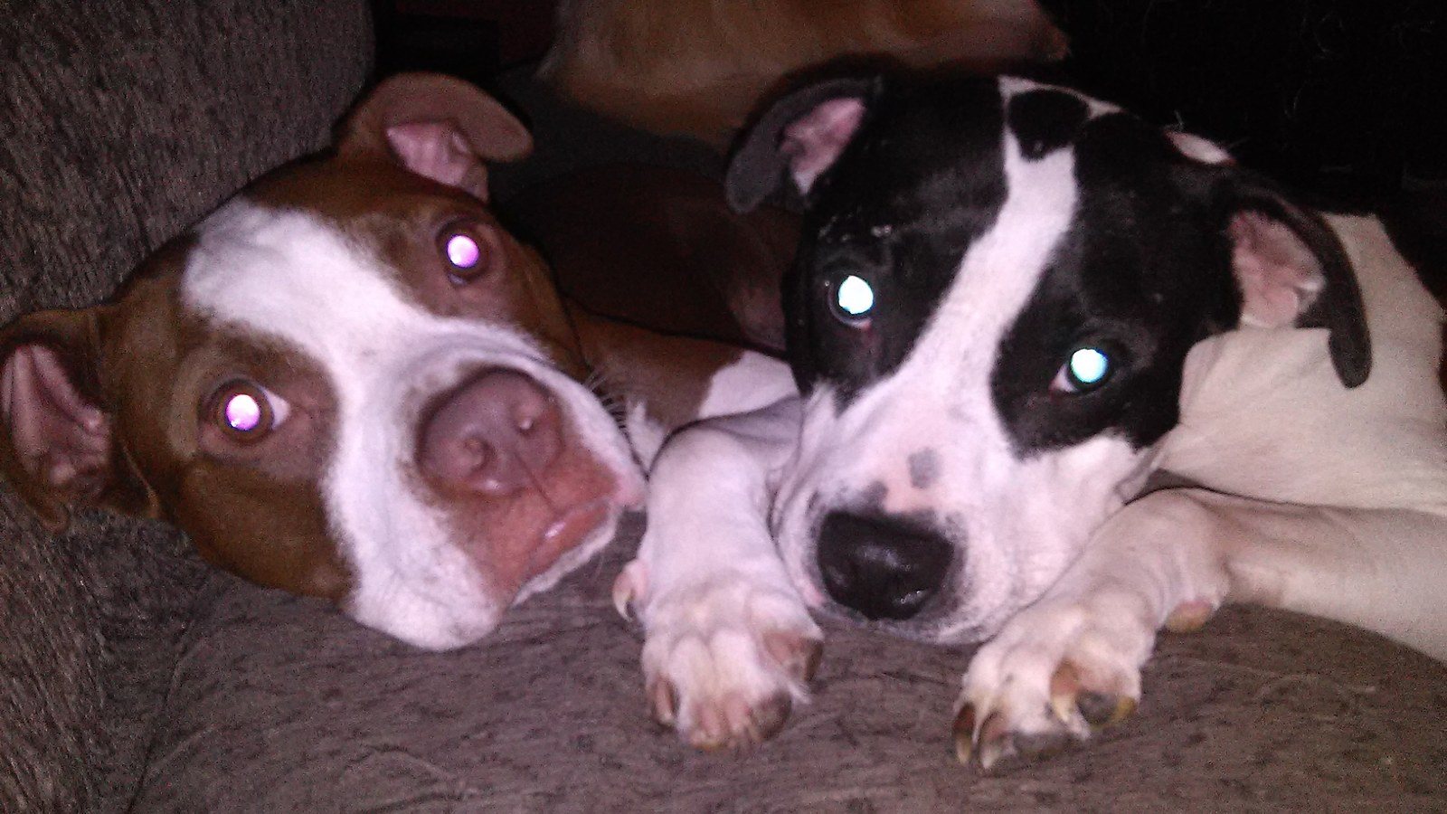 Tenzin & Keira