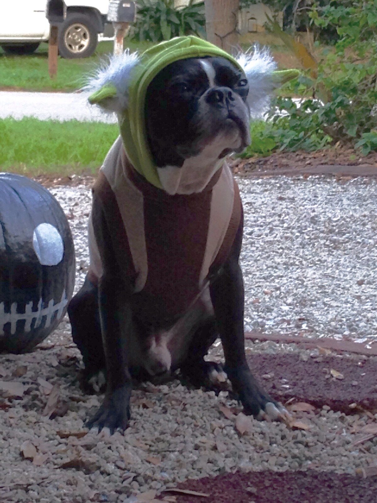 "Let The Force Be With You"