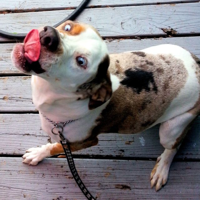 Annabelles Happy Face