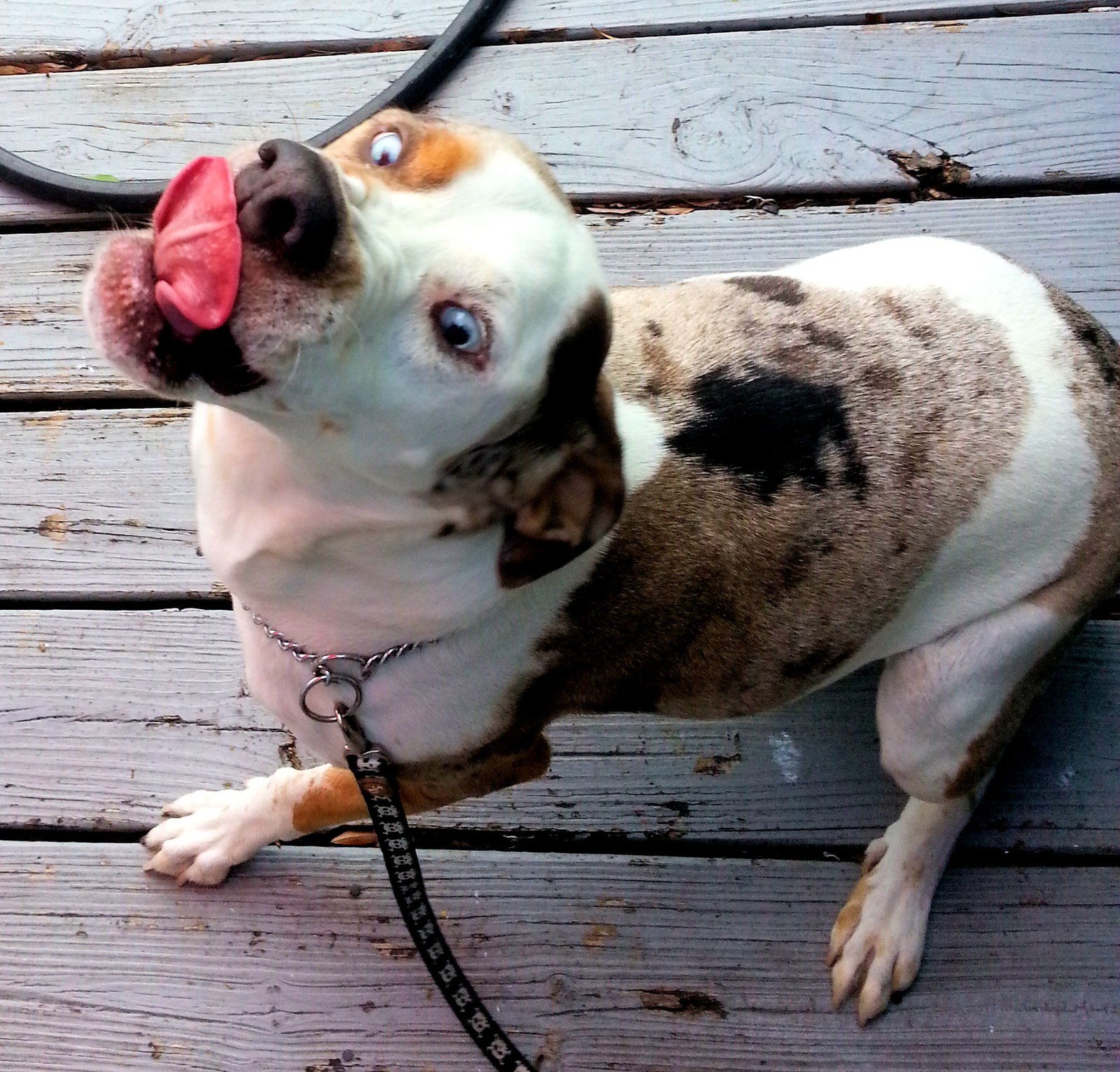 Annabelles Happy Face