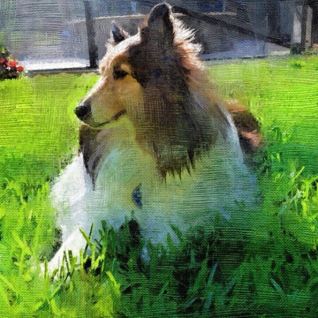 Bailey