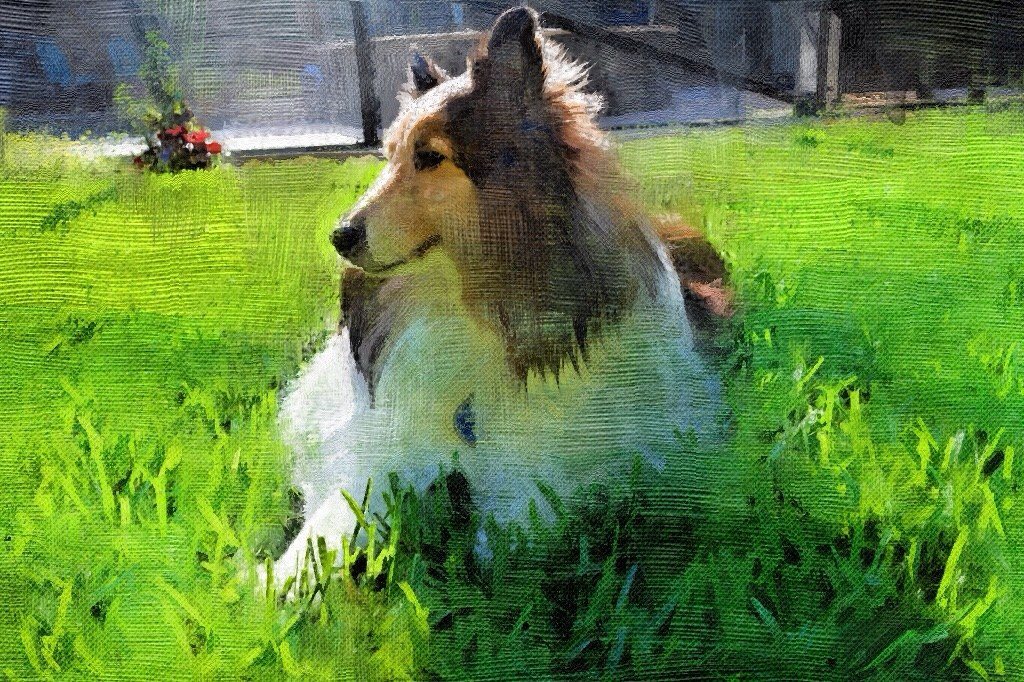Bailey