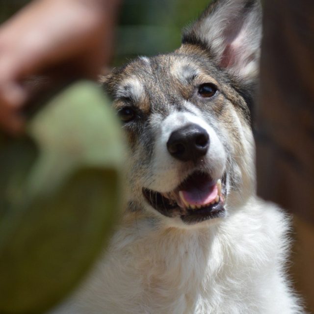 Hurry Up And Throw The Ball!