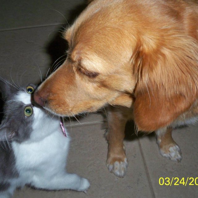 LOVE
