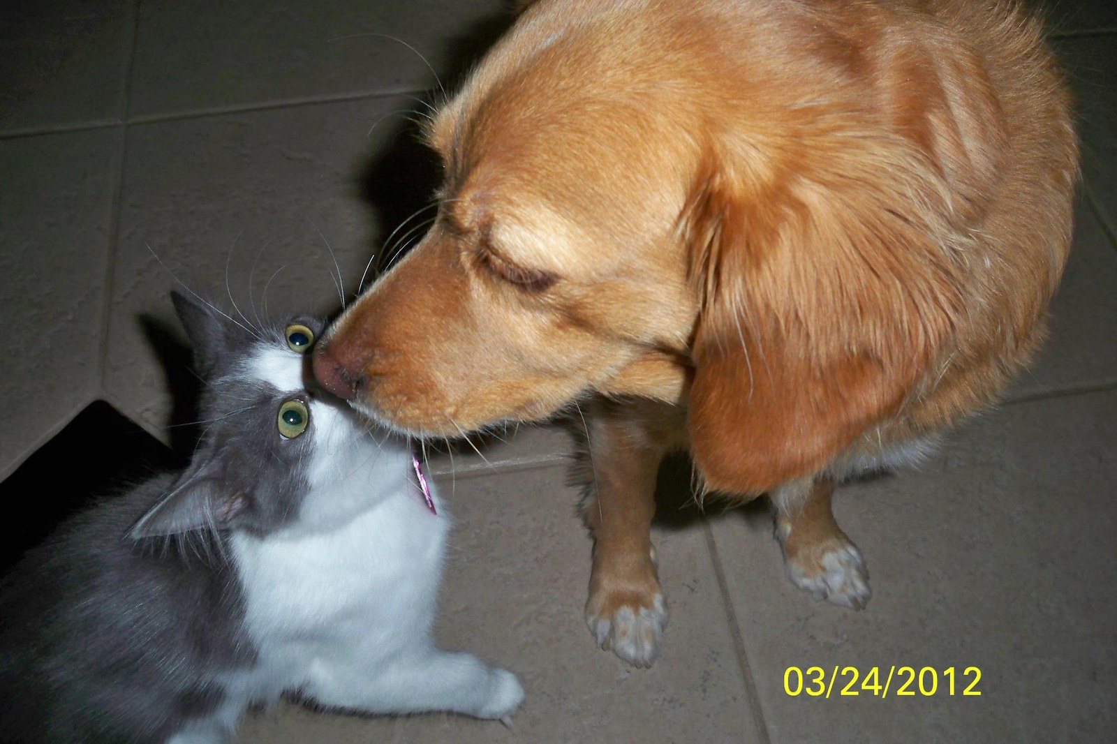 LOVE