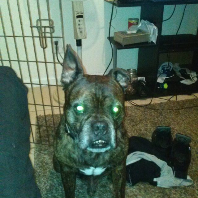 Bubba