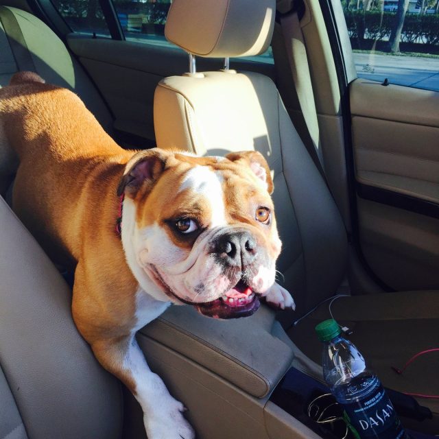Seven Having Trouble Riding Shotgun