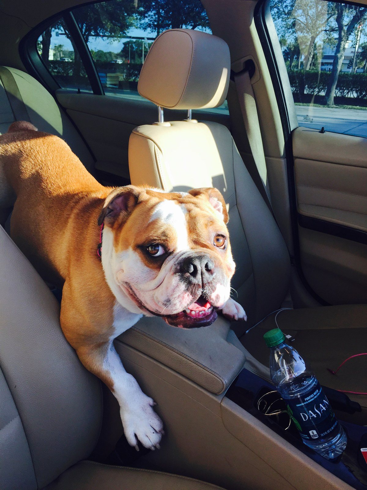 Seven Having Trouble Riding Shotgun