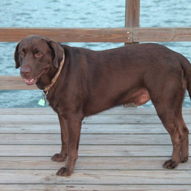 Otis As An Adult