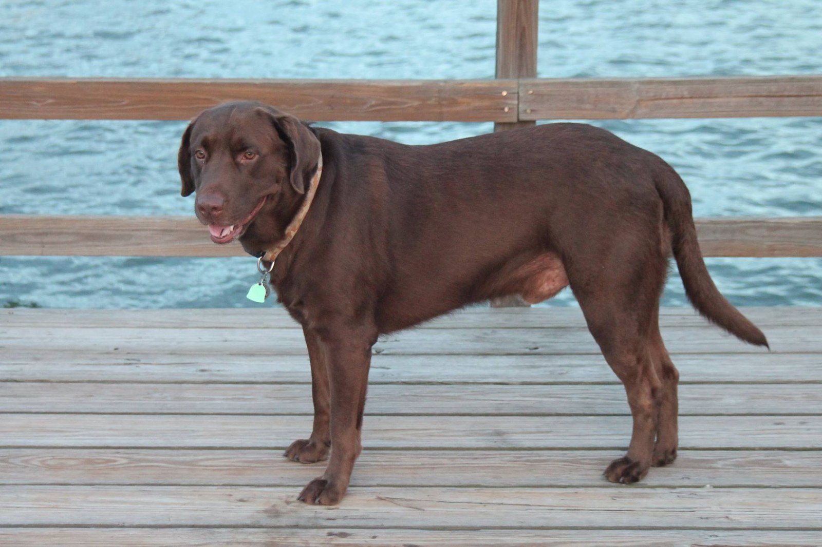 Otis As An Adult