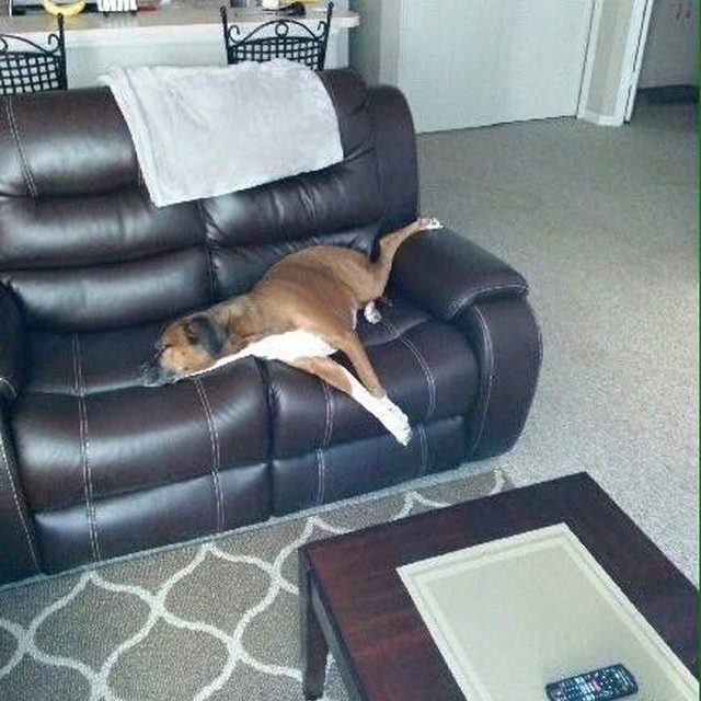 It Has Been A Rough Day..