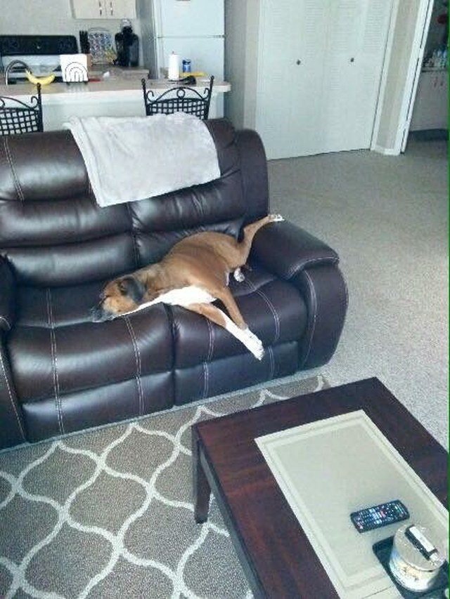 It Has Been A Rough Day..