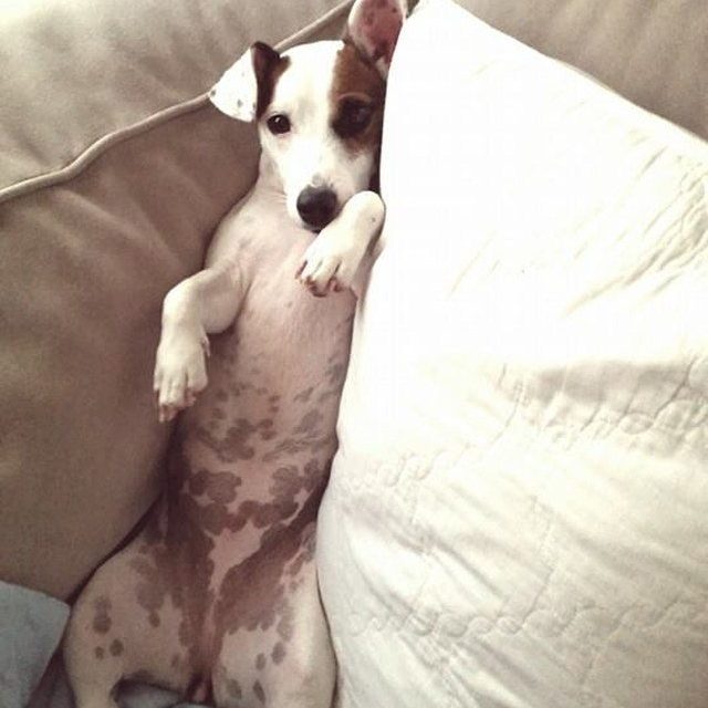 Just Chillin!