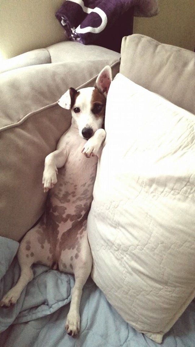 Just Chillin!