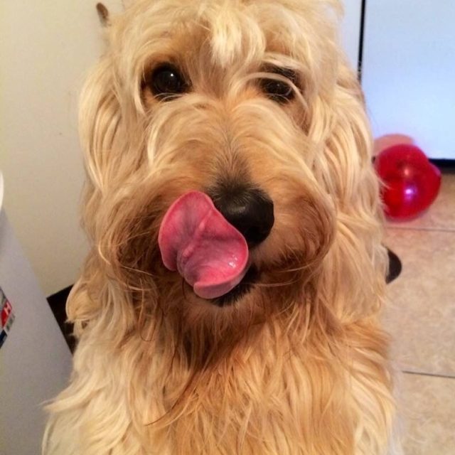 Free Kisses