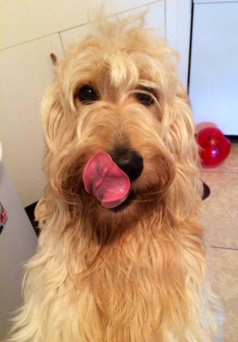 Free Kisses
