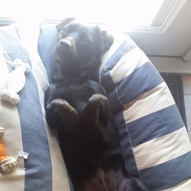 Lazy Sunday,,