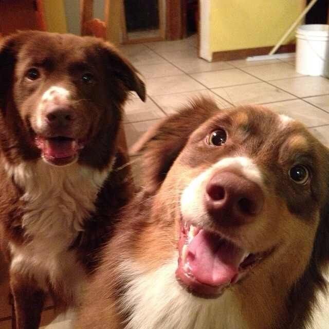 Bella And Jonah - Best Friends Forever