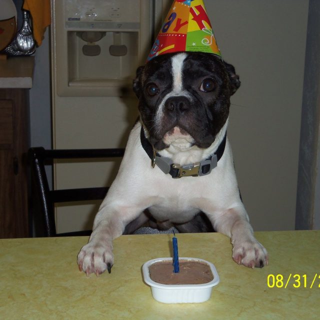 Radars First Birthday