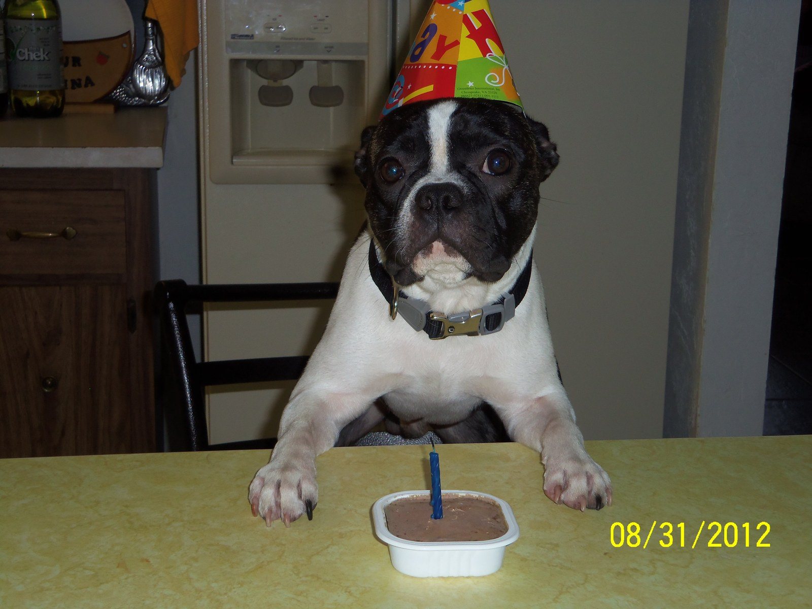 Radars First Birthday