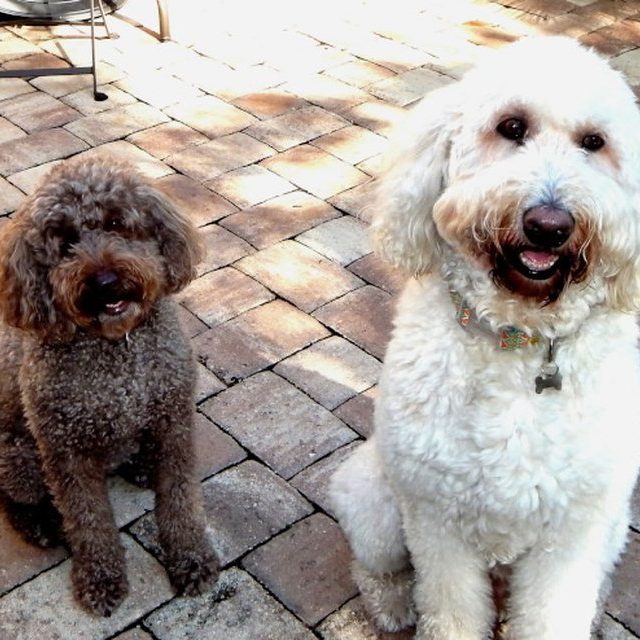 Marlow & Sloan