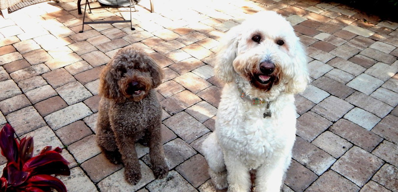 Marlow & Sloan