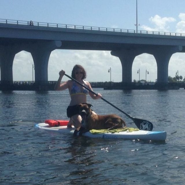 Paddleboard PUP