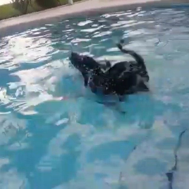 Lol