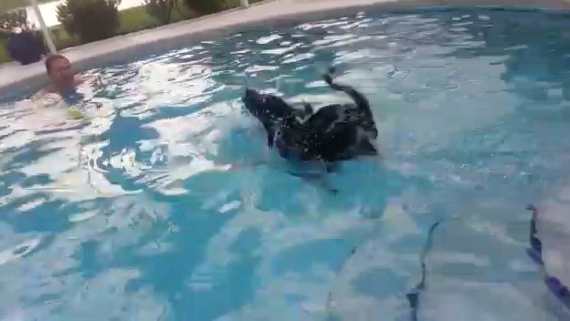 Lol