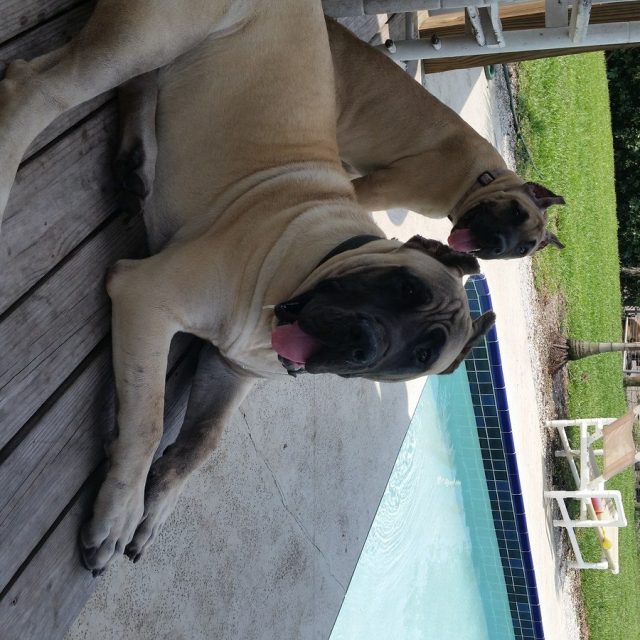 Hangin Out By The Pool