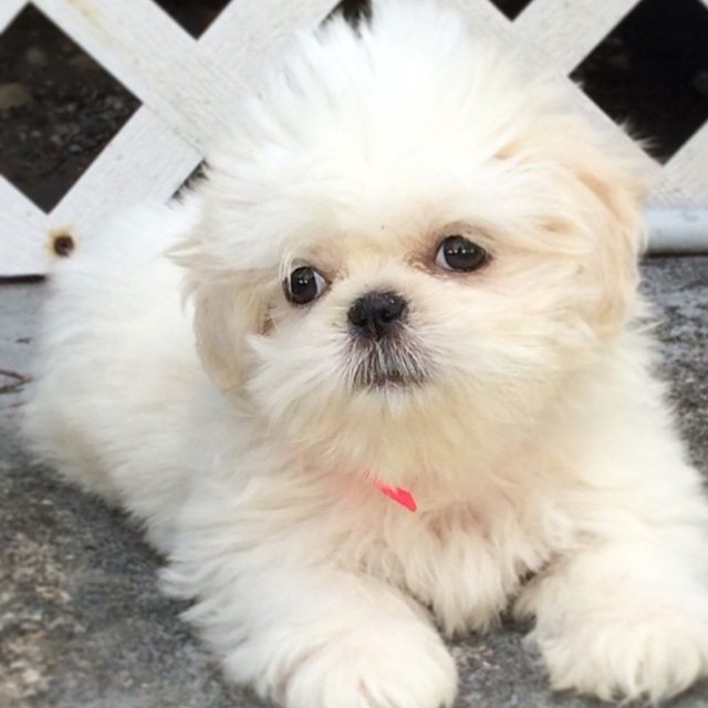 I'm Pretty And You Know It !