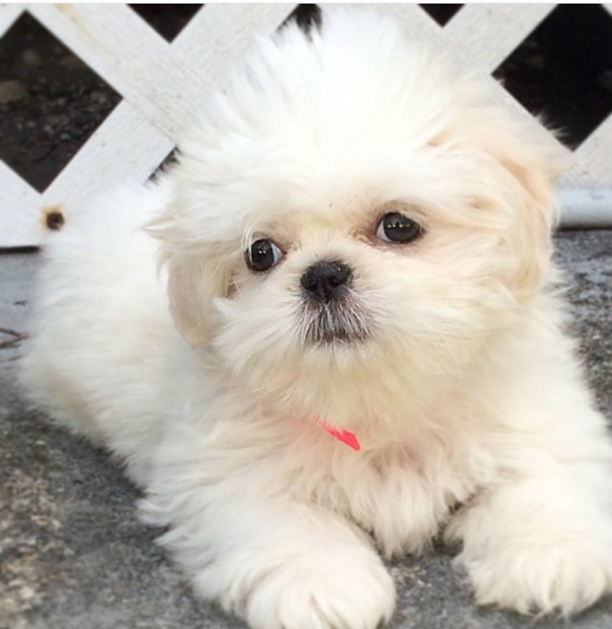 I'm Pretty And You Know It !